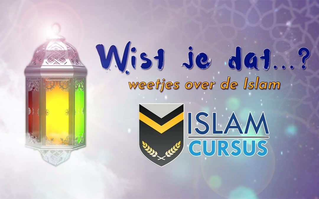 Wist je Dat Weetjes over de Islam Online banner voor de websites